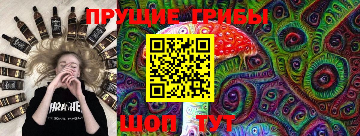 Псилоцибиновые грибы Psilocybe Нарткала