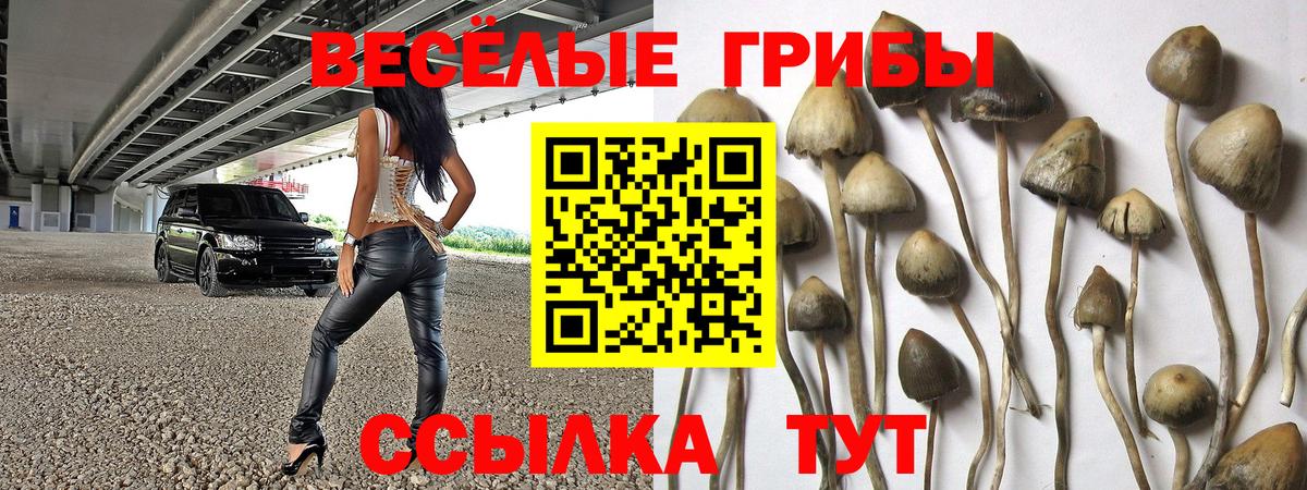Галлюциногенные грибы мицелий  Вход с VPN  Псилоцибиновые грибы ЛСД  Нарткала 