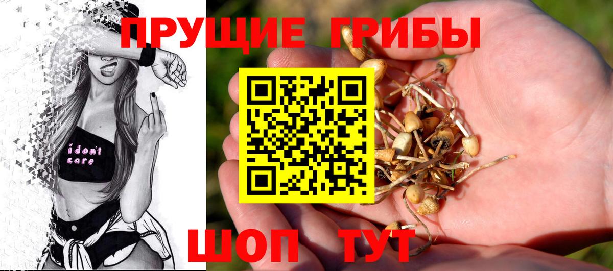 Галлюциногенные грибы Нарткала